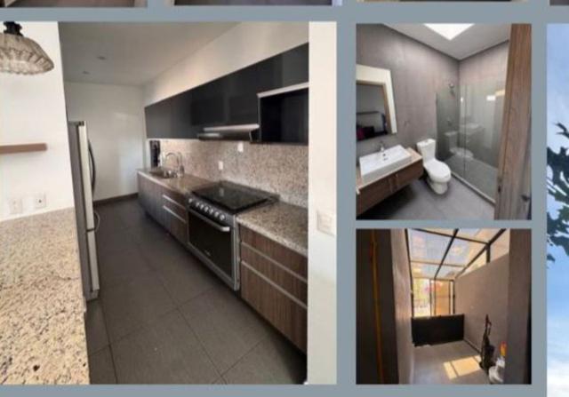 Foto de la galeria de imagenes