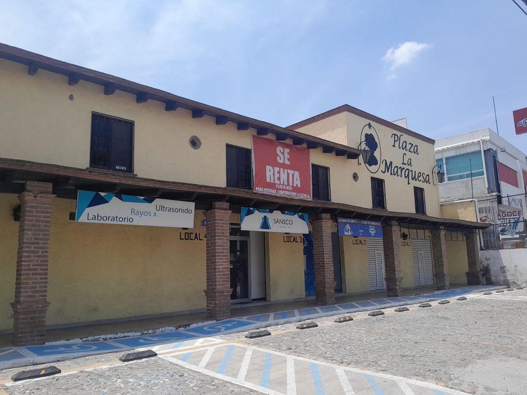 Foto de la galeria de imagenes