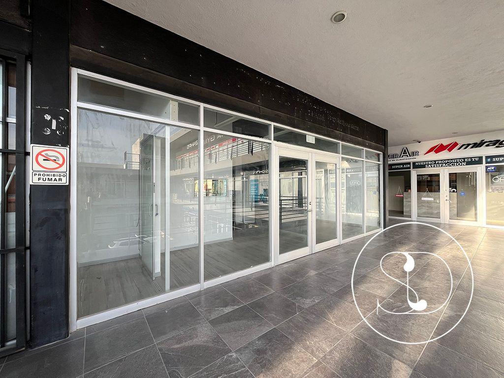 Foto de la galeria de imagenes
