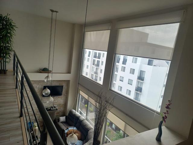 Foto de la galeria de imagenes