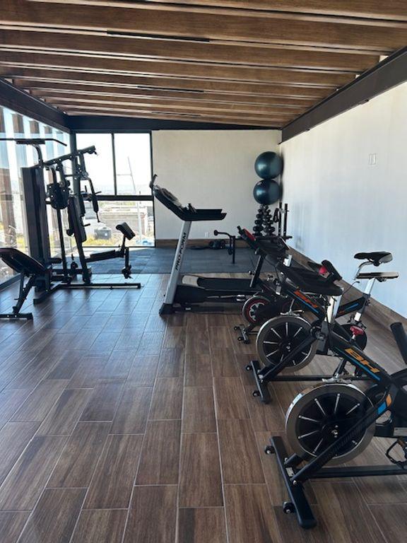 Foto de la galeria de imagenes