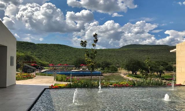 Foto de la galeria de imagenes