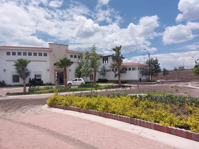 Foto de la galeria de imagenes