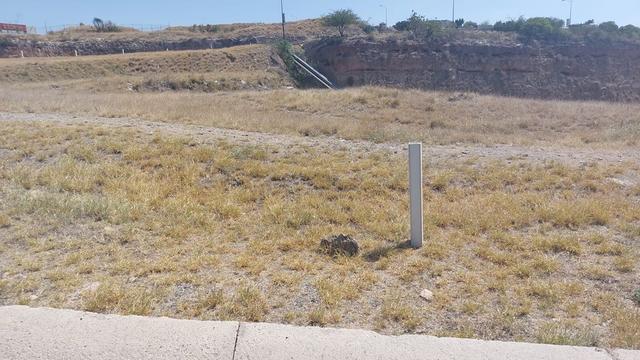 Foto de la galeria de imagenes