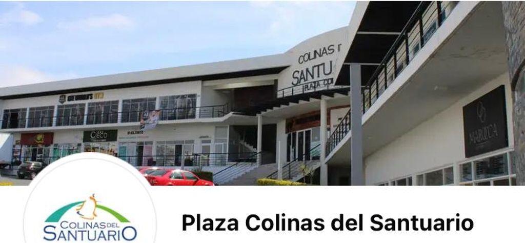 Foto de la galeria de imagenes